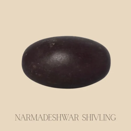 Original Narmadeshwar Shivling made from Narmada river stone for home temple