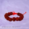 Original Rudraksh bracelet made with natural beads for spiritual protection