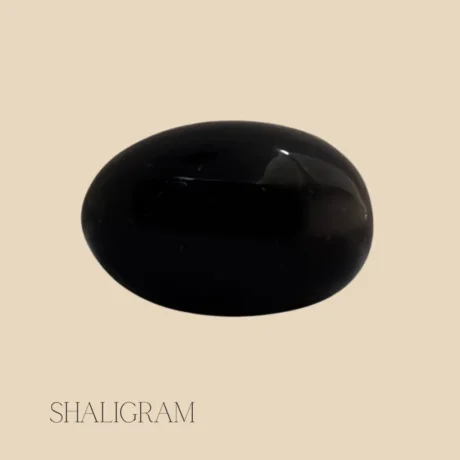 Original Shaligram stone with natural chakra markings from Gandaki River