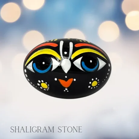 Original Shaligram stone for Vishnu puja and vastu correction