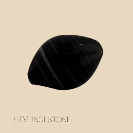 Shivlingi stone seeds used in Ayurveda and Hindu spiritual rituals