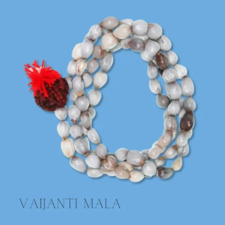 Original Vaijanti Mala for Japa, Meditation, and Devotion – Spiritual Beads Associated with Lord Vishnu and Krishna