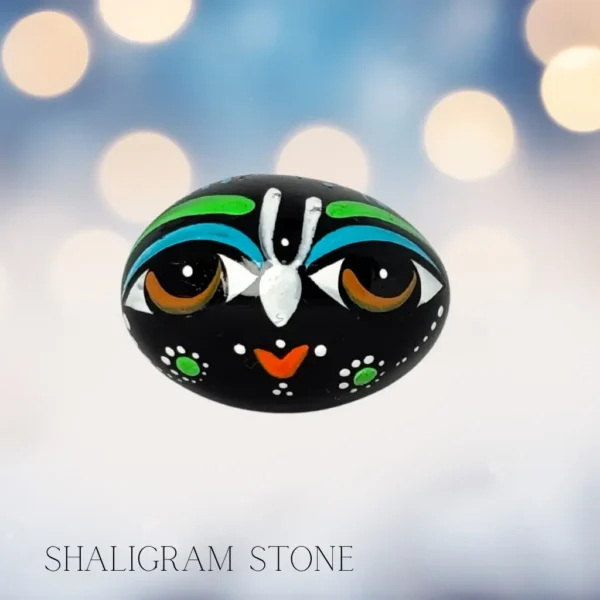 Original Shaligram stone for Vishnu puja and vastu correction