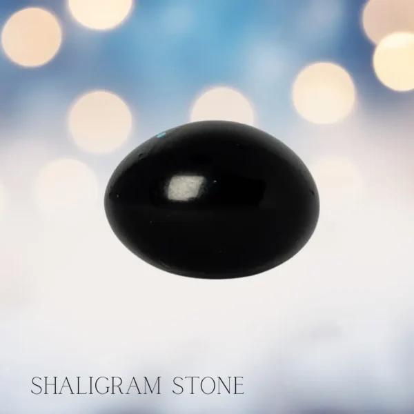 Shaligram stone for pooja rituals, Vishnu worship, and home temples at PoojaStore.in