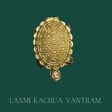 Brass Kachua Laxmi Yantra for wealth and prosperity at PoojaStore.in